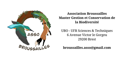 Signature corps mail broussailles